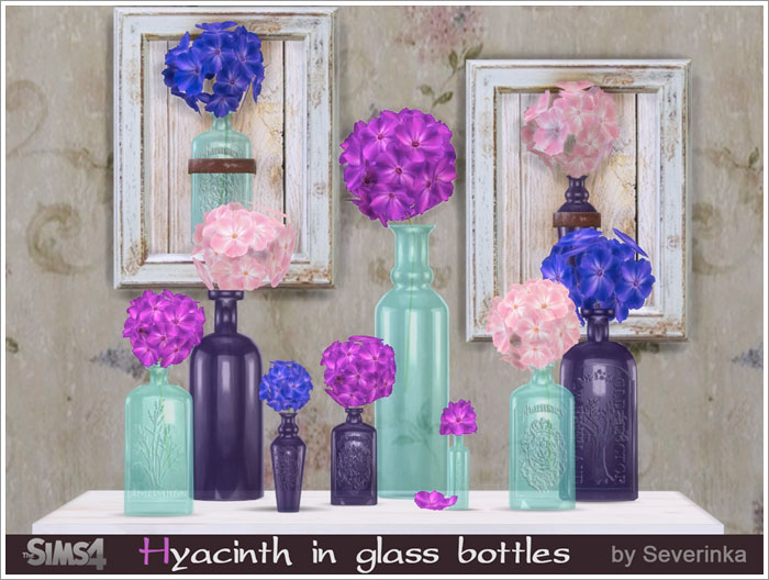 hyacinth1.jpg