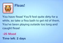 Fleas.jpg